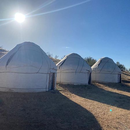 Authentic Uzbek Yurt Camp Eco-Friendly Hotel Nurota Eksteriør billede