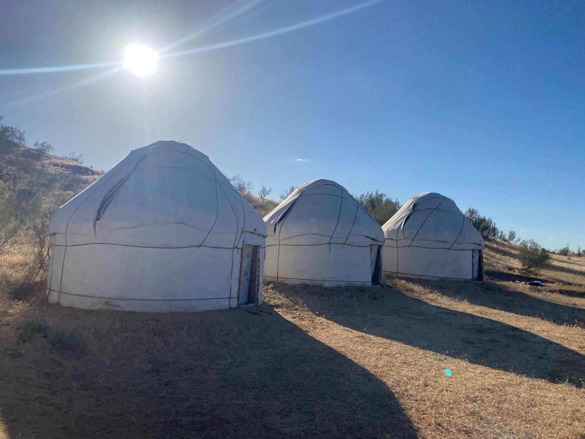 Authentic Uzbek Yurt Camp Eco-Friendly Hotel Nurota Eksteriør billede
