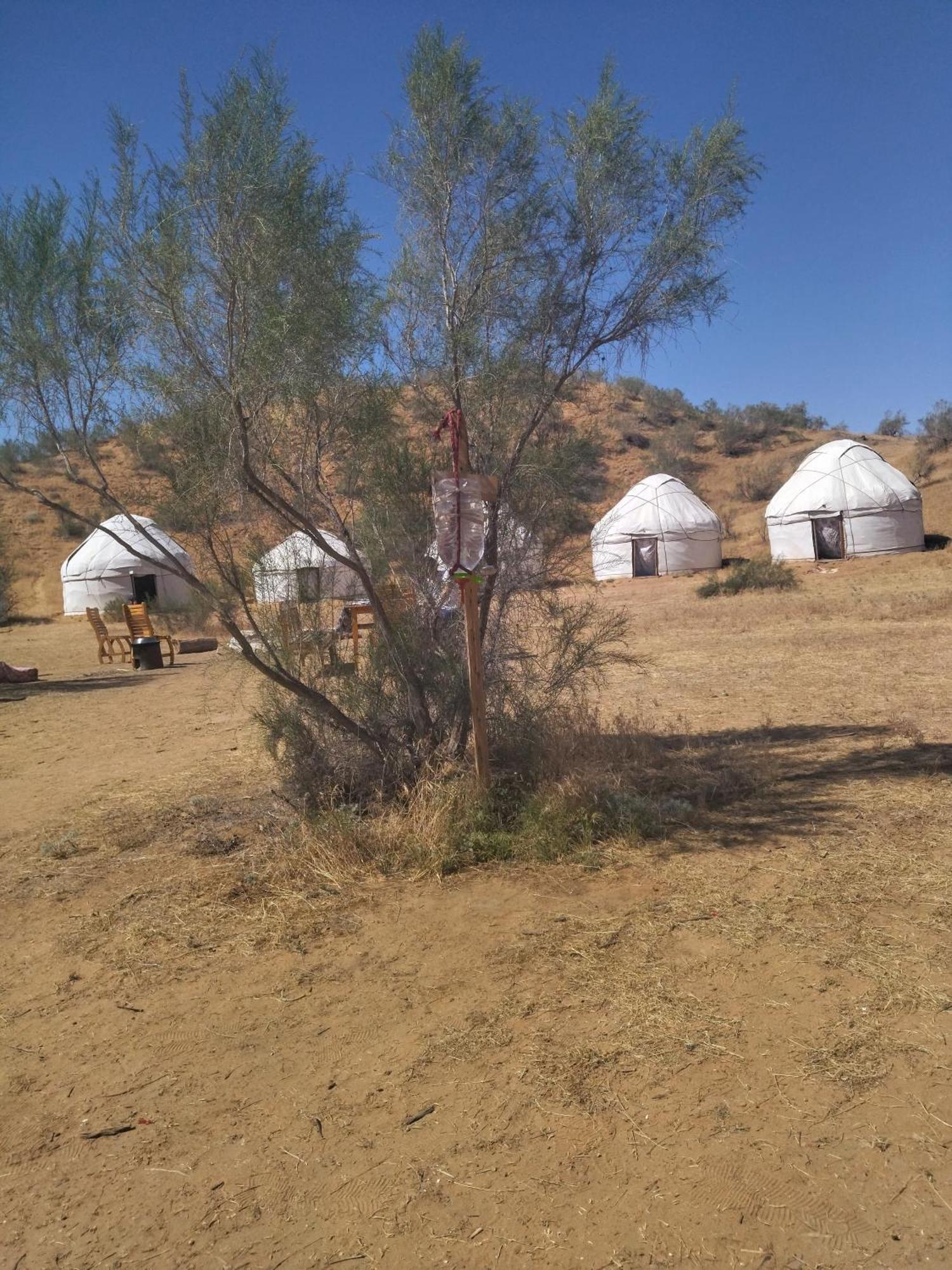 Authentic Uzbek Yurt Camp Eco-Friendly Hotel Nurota Eksteriør billede